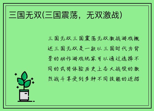 三国无双(三国震荡，无双激战)